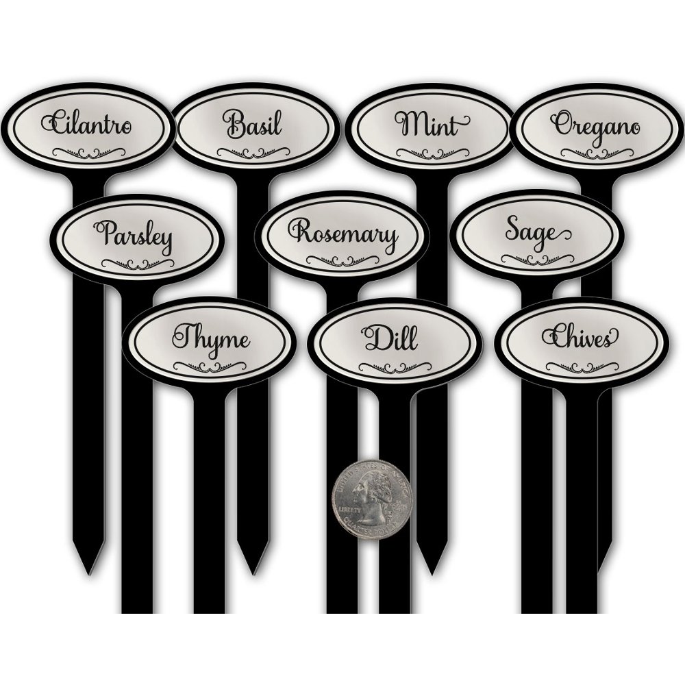 Engraved Flexibrass Acrylic Herb Garden Stakes - 0.8in Oval Top Plant Markers in Silver for Herb Identification & Garden Organization | Perfect for Herb Gardens, Vegetable Patches, and Indoor Plant Labeling