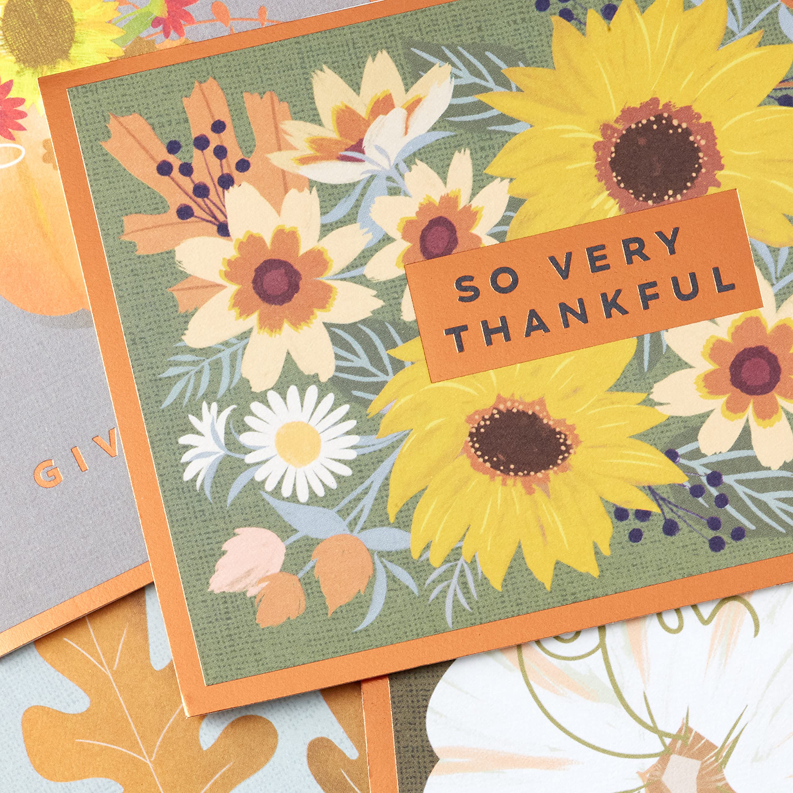 Hallmark Thanksgiving Greeting Cards - 36 Assorted Thankful Cards with Envelopes for Family & Friends | Perfect for Holiday Wishes, Office Parties & Home Decor