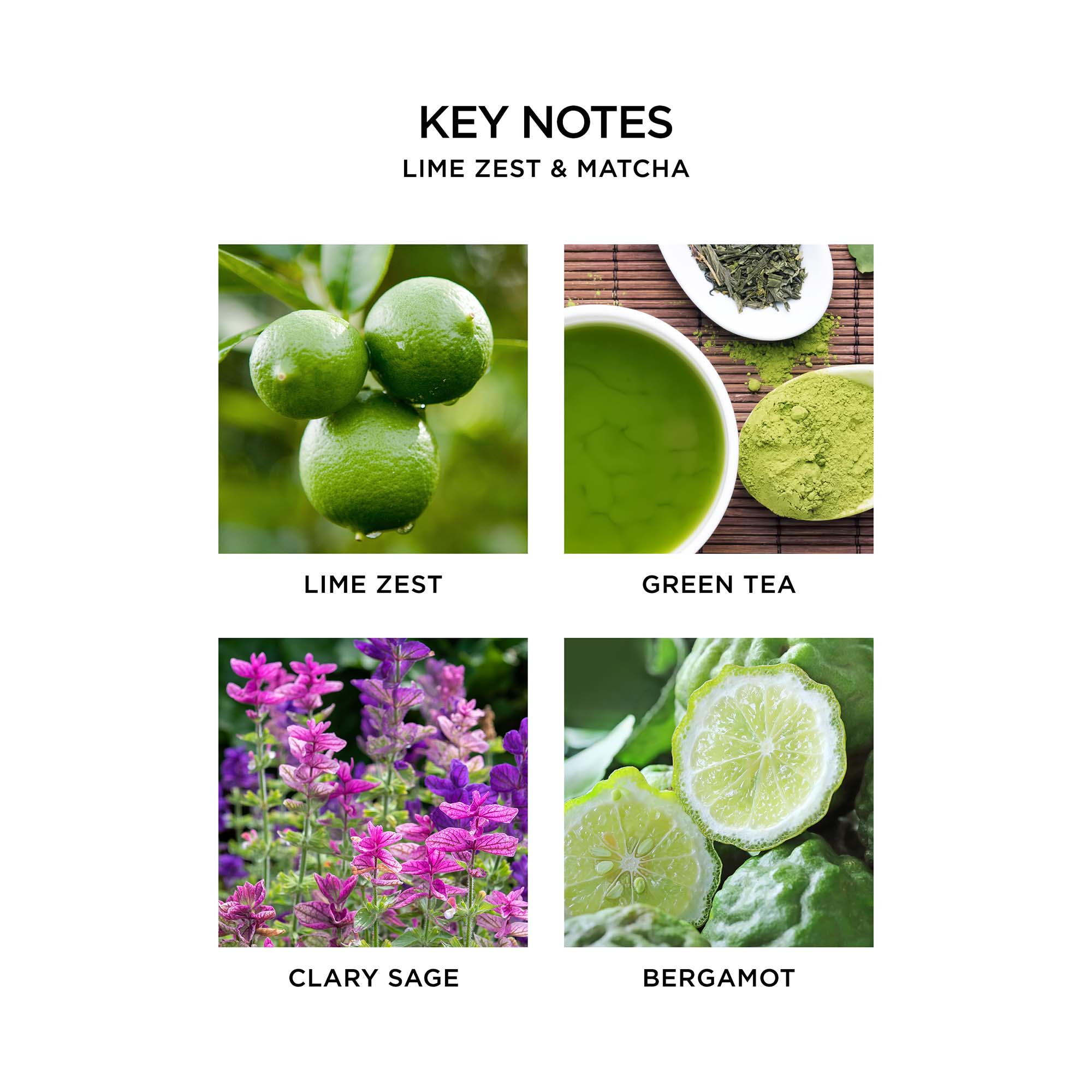 Premium Lime Zest & Matcha Green Tea Wall Diffuser Refill - Long-Lasting Aromatherapy for Home, Office & Spa Relaxation