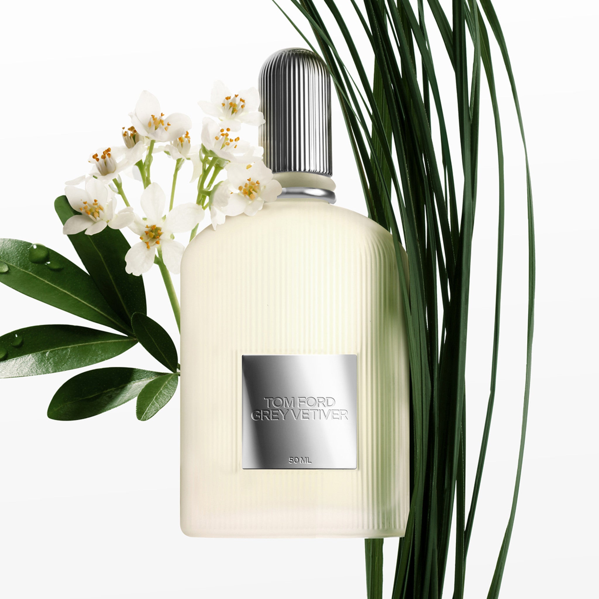 Grey Vetiver Eau de Parfum Spray for Men - Premium Woody Fragrance with Citrus Notes - Perfect for Date Nights & Formal Occasions
