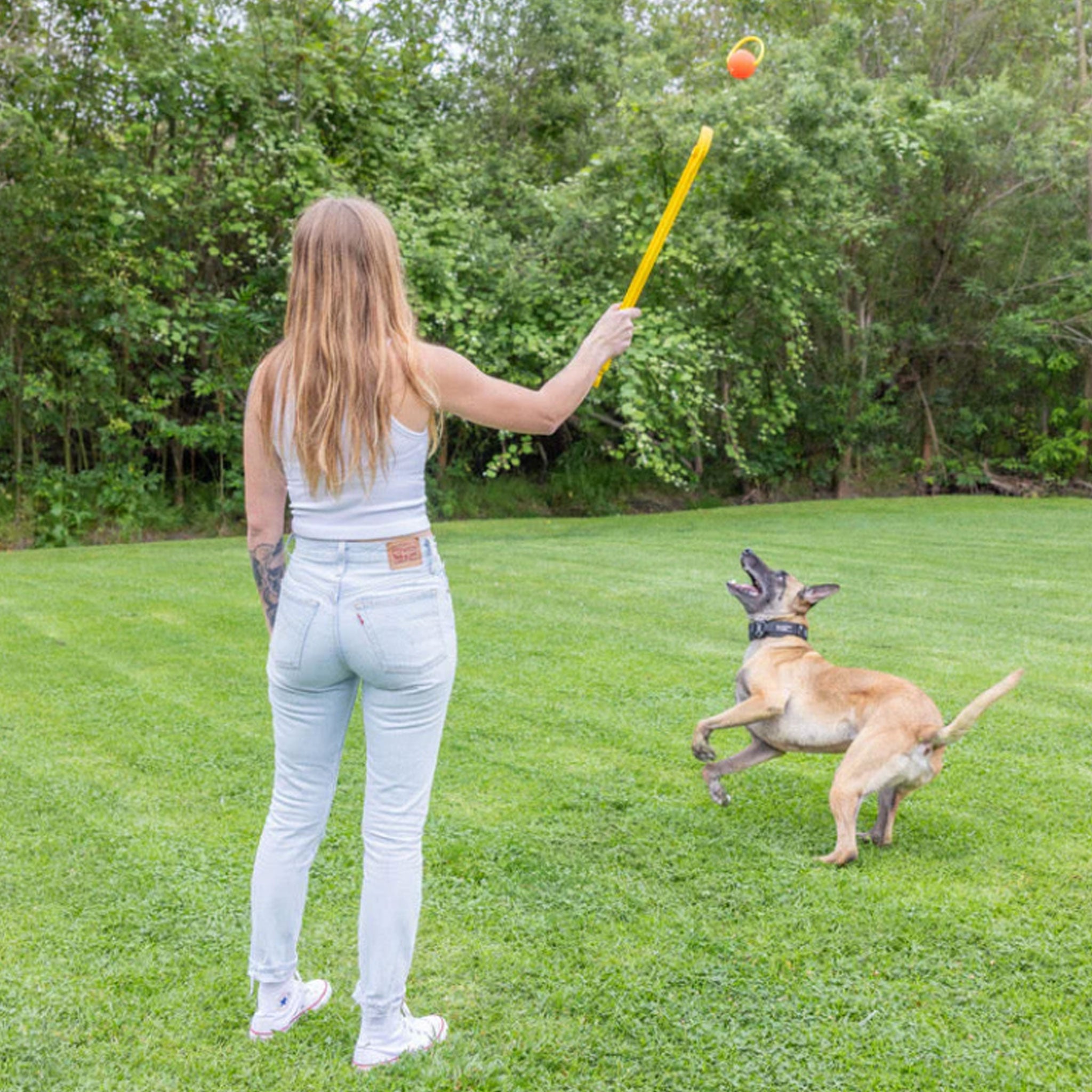 Project Hive Zoomer Interactive Fetch Dog Toy - Automatic Ball Launcher for Small & Medium Dogs - Yellow - Perfect for Indoor & Outdoor Playtime, Training & Exercise