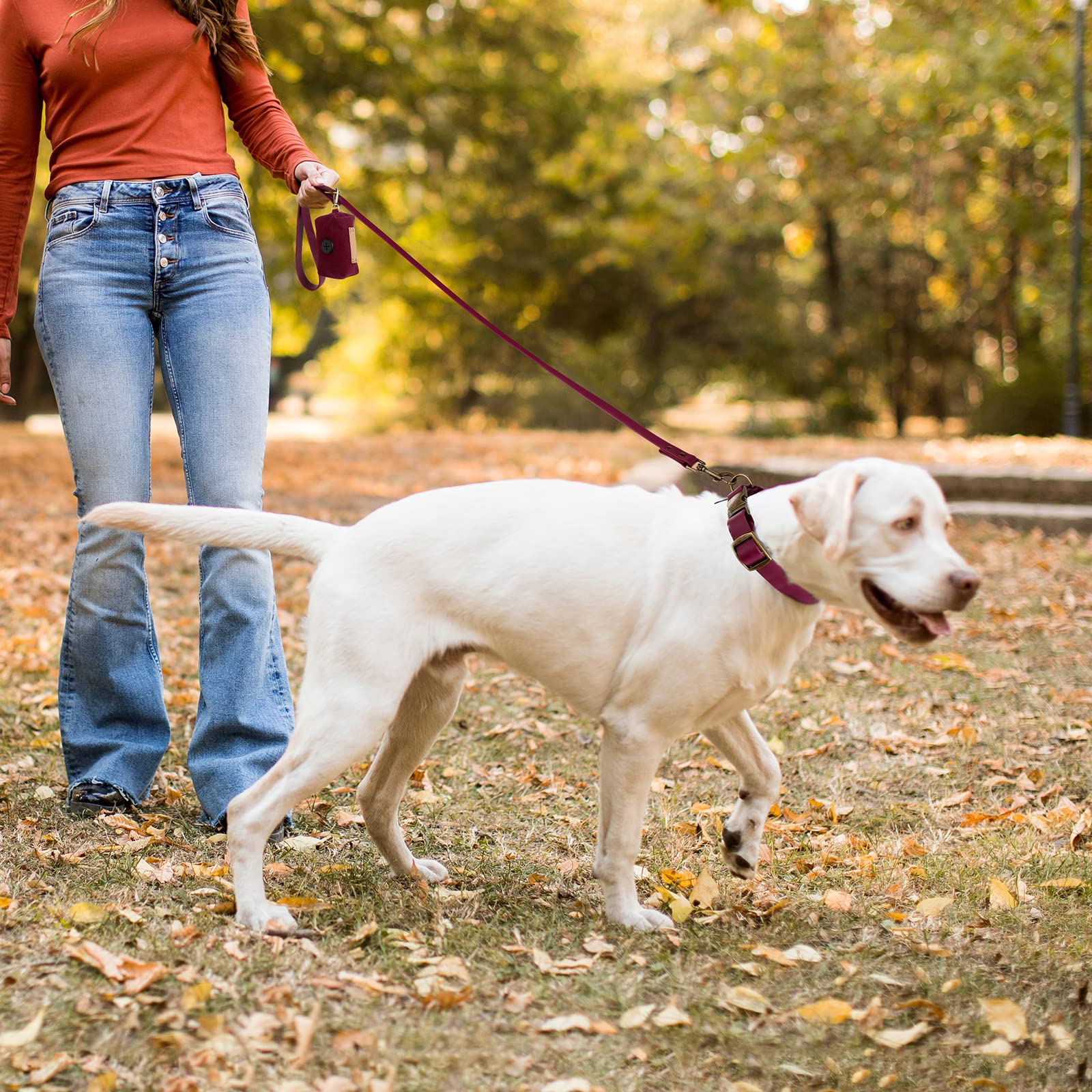**Wisedog Adjustable Dog Collar and Leash Set - Durable Pet Collar with Leash for Small, Medium & Large Dogs - Includes Free Poop Bag Holder (XS, Burgundy) - Perfect for Walking, Training & Outdoor Adventures**