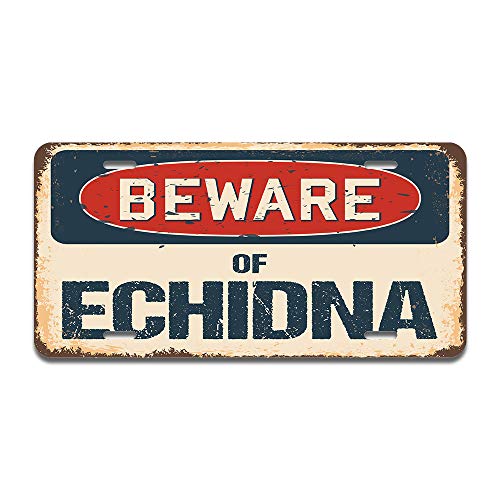 Beware of Echidna