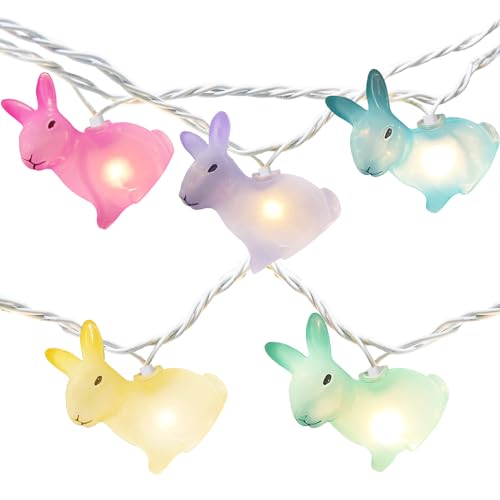 5-Multicolor Rabbit