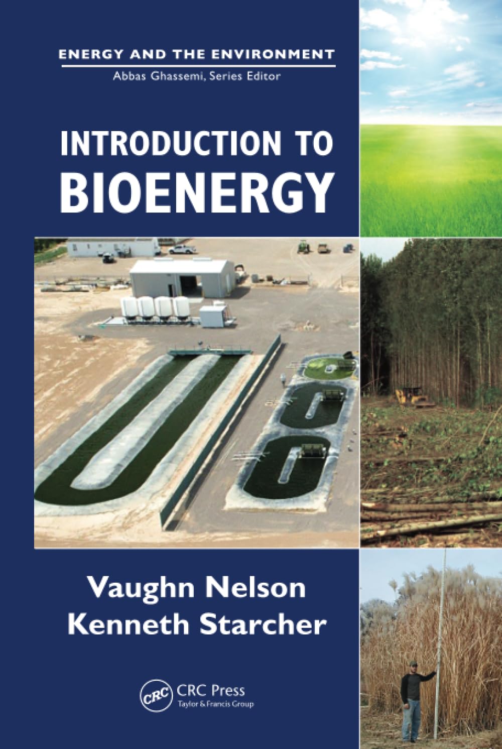 Bioenergy Introduction: Renewable Energy Solutions for a Sustainable Environment | Ideal for Students, Researchers & Eco-Conscious Consumers