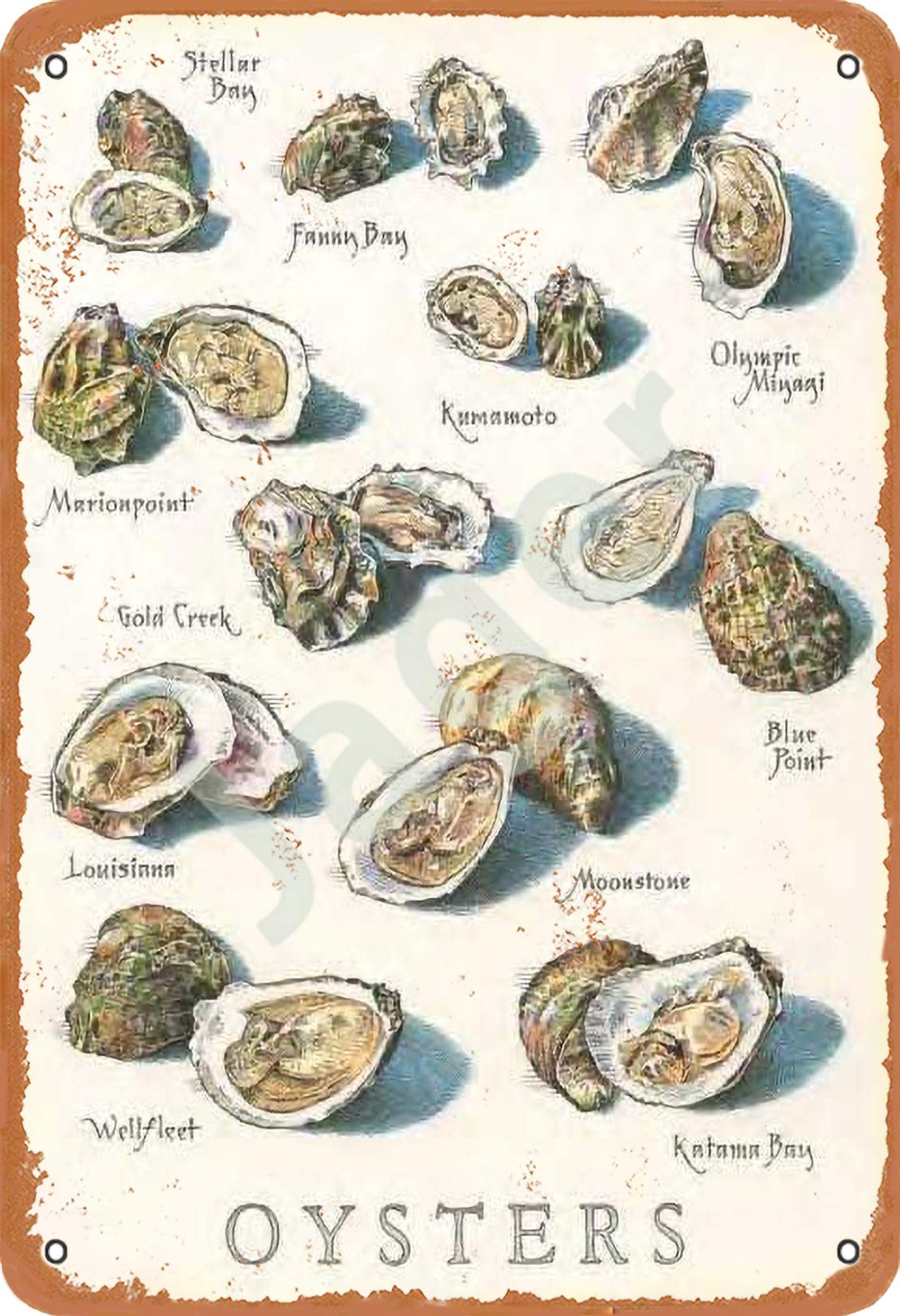 Vintage Jager Oysters Retro Metal Wall Plaque - Rustic Tin Sign for Home, Bar, Cafe & Man Cave Decor - Perfect for Kitchen, Garage or Game Room Wall Art