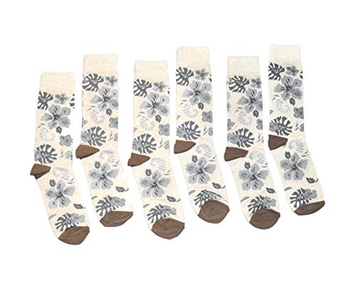 Tropical Flower - Hibiscus Beige