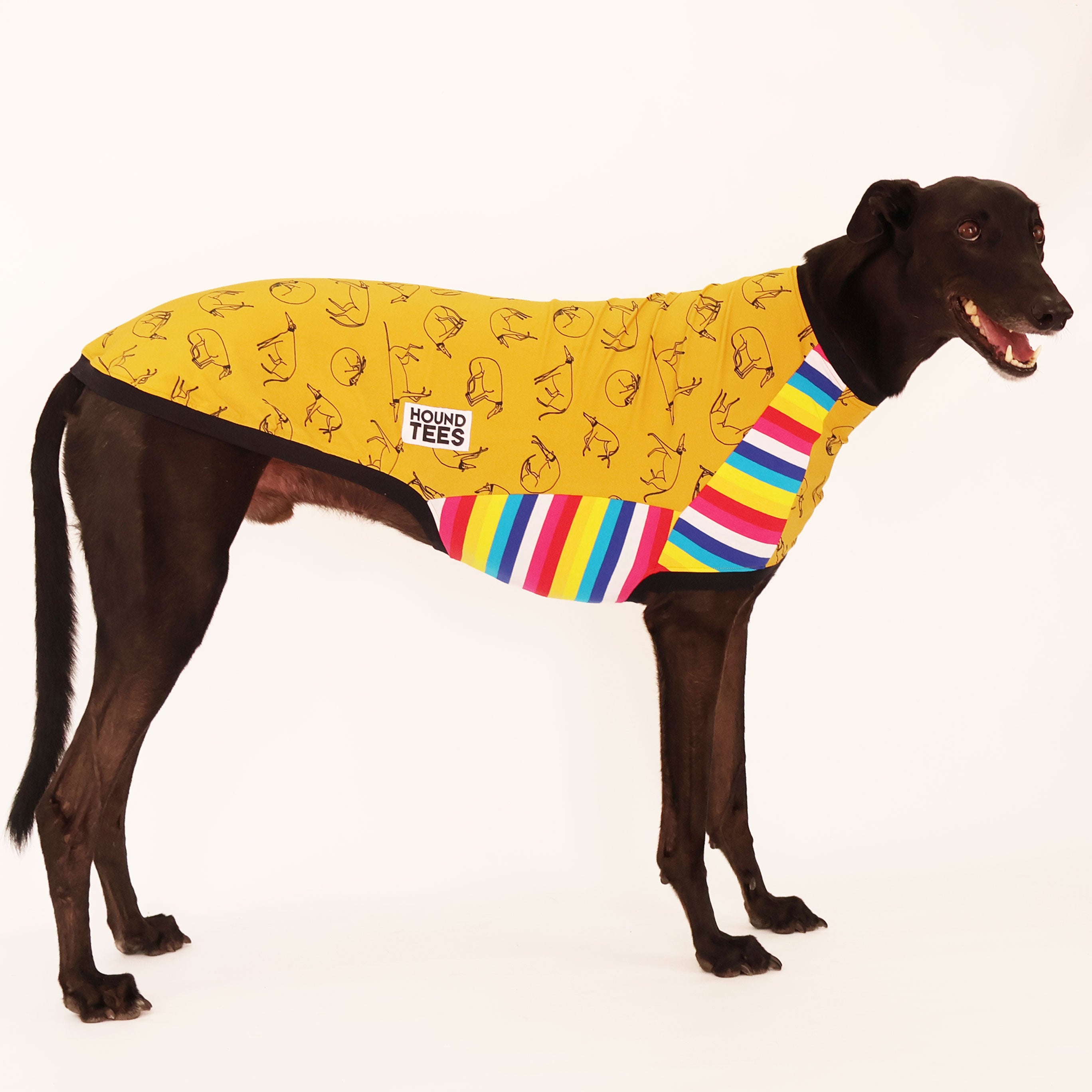 Harriet's Hounds Greyhound Sleeveless T-Shirt for Dogs - Breathable Summer Dog Tee for Running & Outdoor Activities