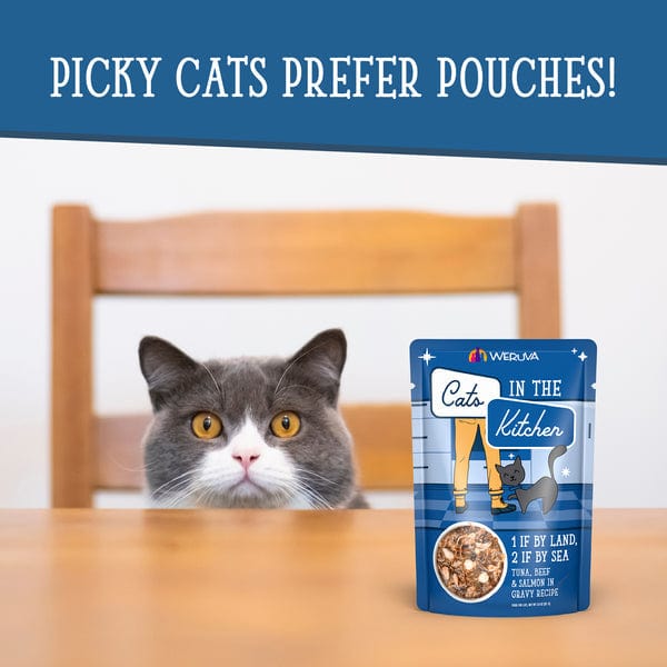 Premium Pouch Cat Food - Grain-Free Wet Cat Food for Indoor & Outdoor Cats - Delicious Chicken & Fish Flavors - Perfect for Travel, Hiking & Daily Feeding
