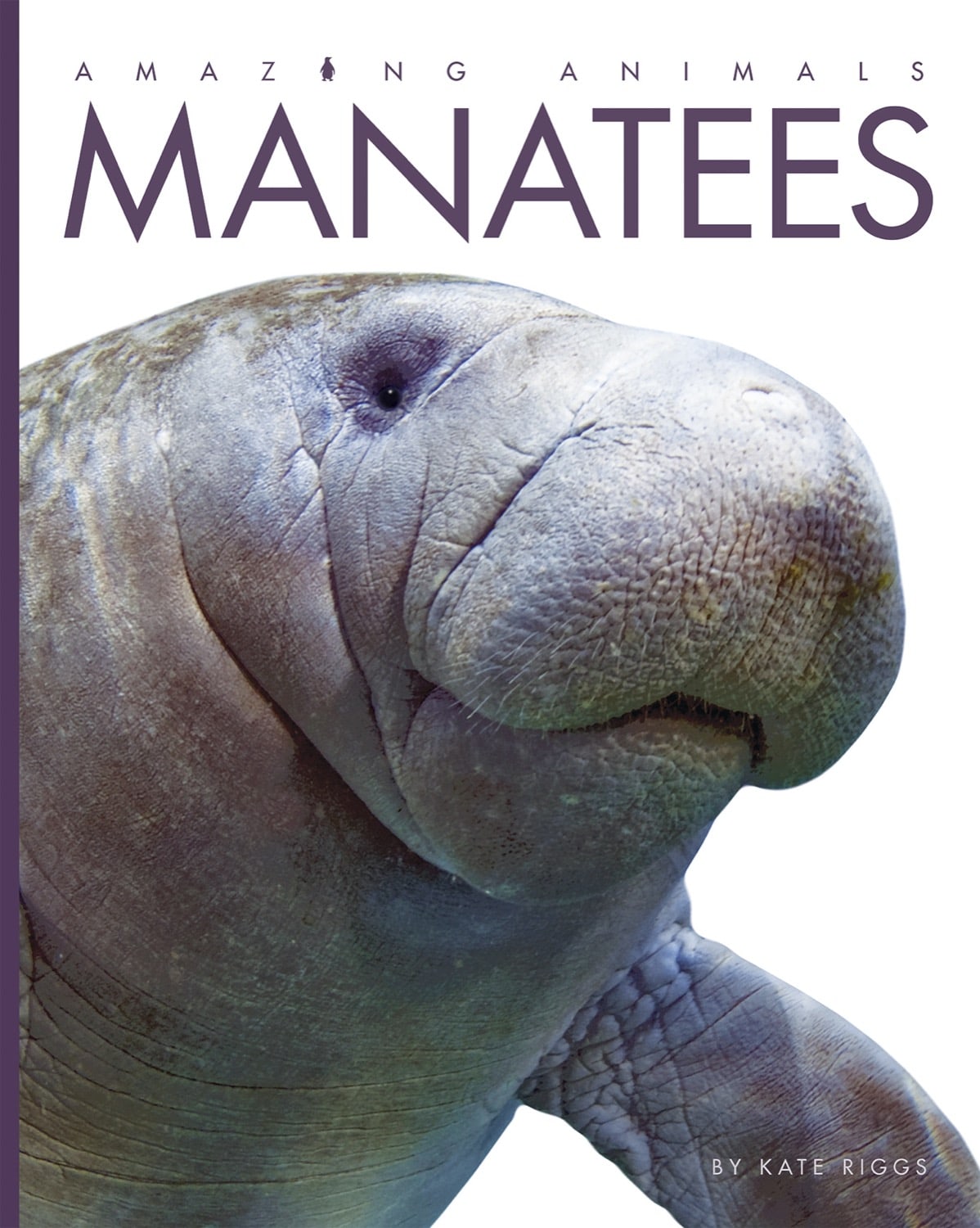 Amazing Animals (2014): Manatees - Gentle Sea Giants | Educational Wildlife Documentary | Perfect for Nature Lovers & Classroom Learning