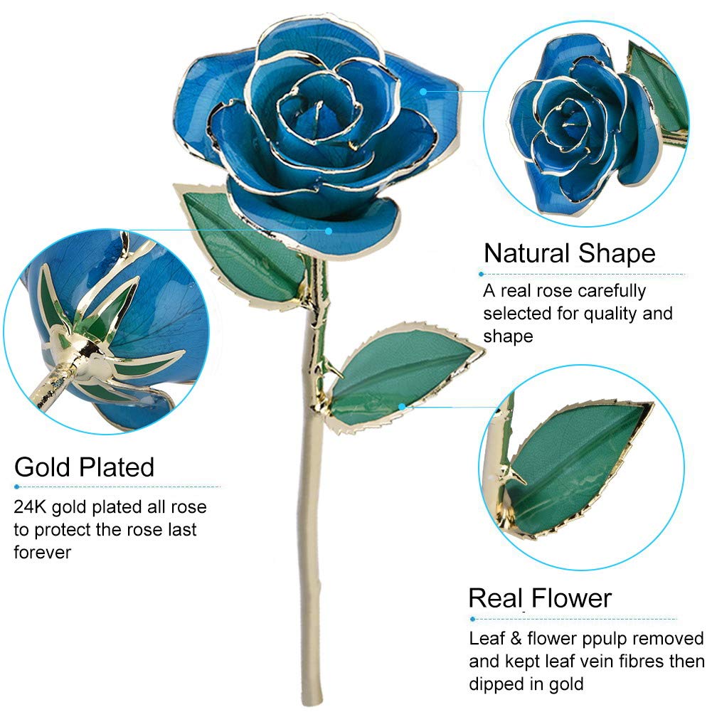 24K Gold Plated Blue Rose - Eternal Love Real Rose Flower Gift for Her, Perfect Anniversary, Wedding, Birthday & Graduation Present (Blue) - Romantic Home Decor, Proposal Gift, Valentine's Day Surprise