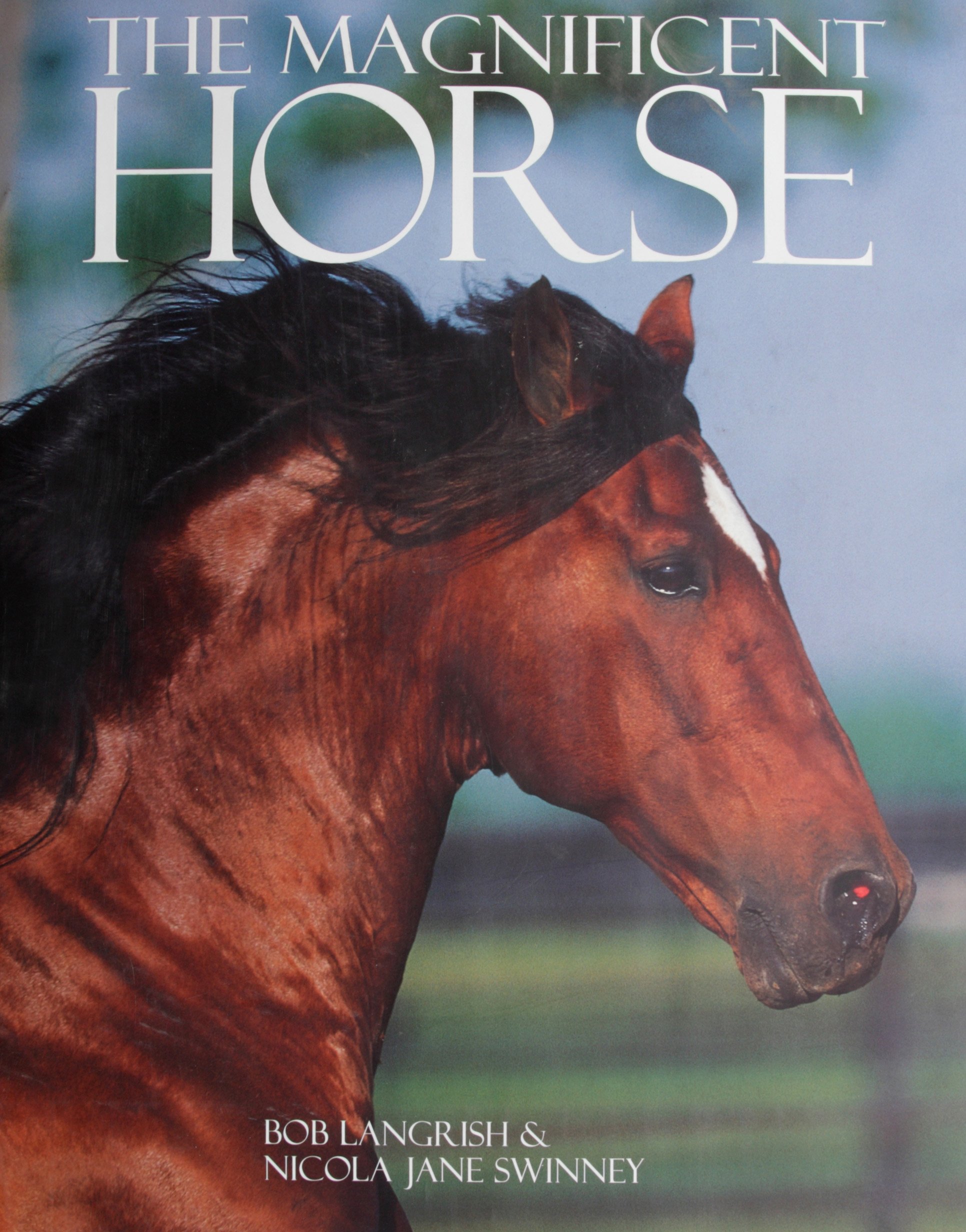 Stunning Handcrafted Wooden Horse Coffee Table - Elegant Home Decor for Living Room, Office & Lounge Areas