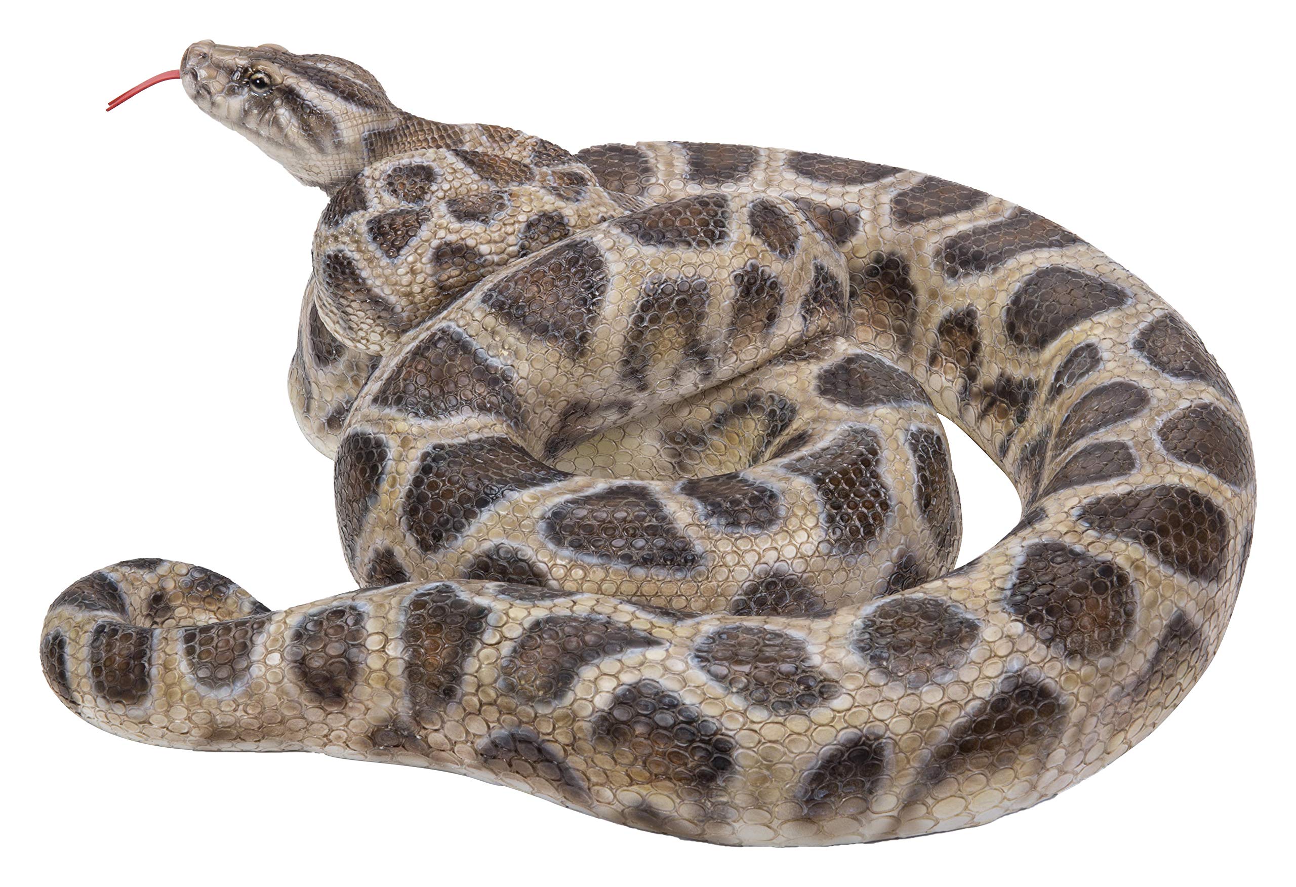 Hi-Line Gift 87680-A Realistic Curled Up Python Snake Statue - Home Decor, Office Desk Ornament, Garden Sculpture, Unique Gift for Reptile Lovers
