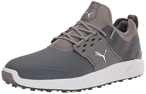 Quiet Shade/Puma Silver/Quiet Shade