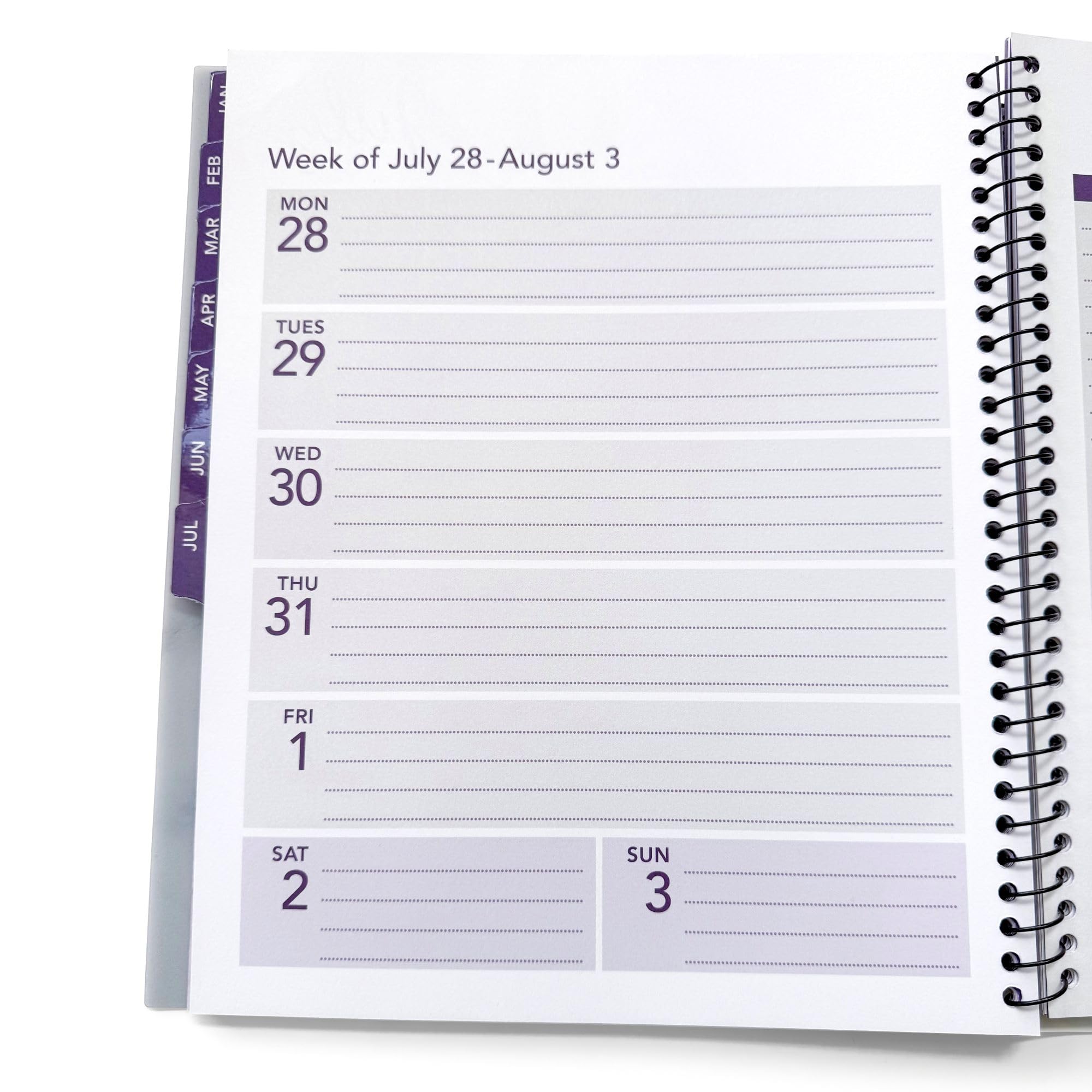 RE-FOCUS THE CREATIVE 2025 13-Month Planner with To-Do Lists, Notes & Appointments - Purple Daily & Weekly Schedule Organizer for Office, School or Home Productivity