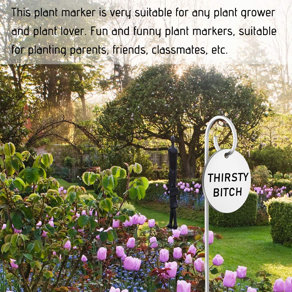 TIIMG Funny Thirsty Bitch Planter Pot Markers - Outdoor Garden Art Plant Labels for Herbs, Vegetables & Flowers - Perfect Gardening Gift for Women & Plant Lovers (Set of 6)