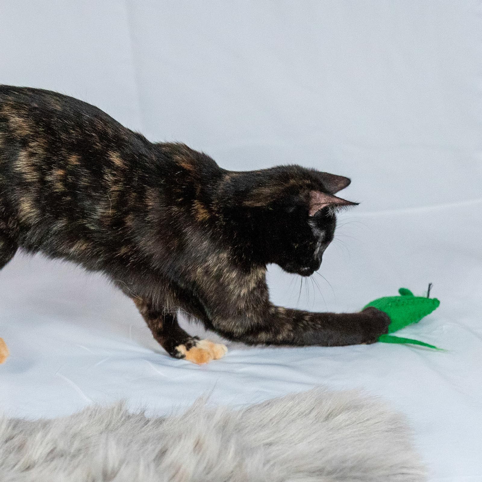 Eco Pouncer Natural Cat Toy - Safe & Sustainable Wool Cat Teaser for Interactive or Solo Play | Non-Toxic, Chemical-Free Pet Accessories | Perfect for Indoor Cats, Kittens, and Playtime Enrichment