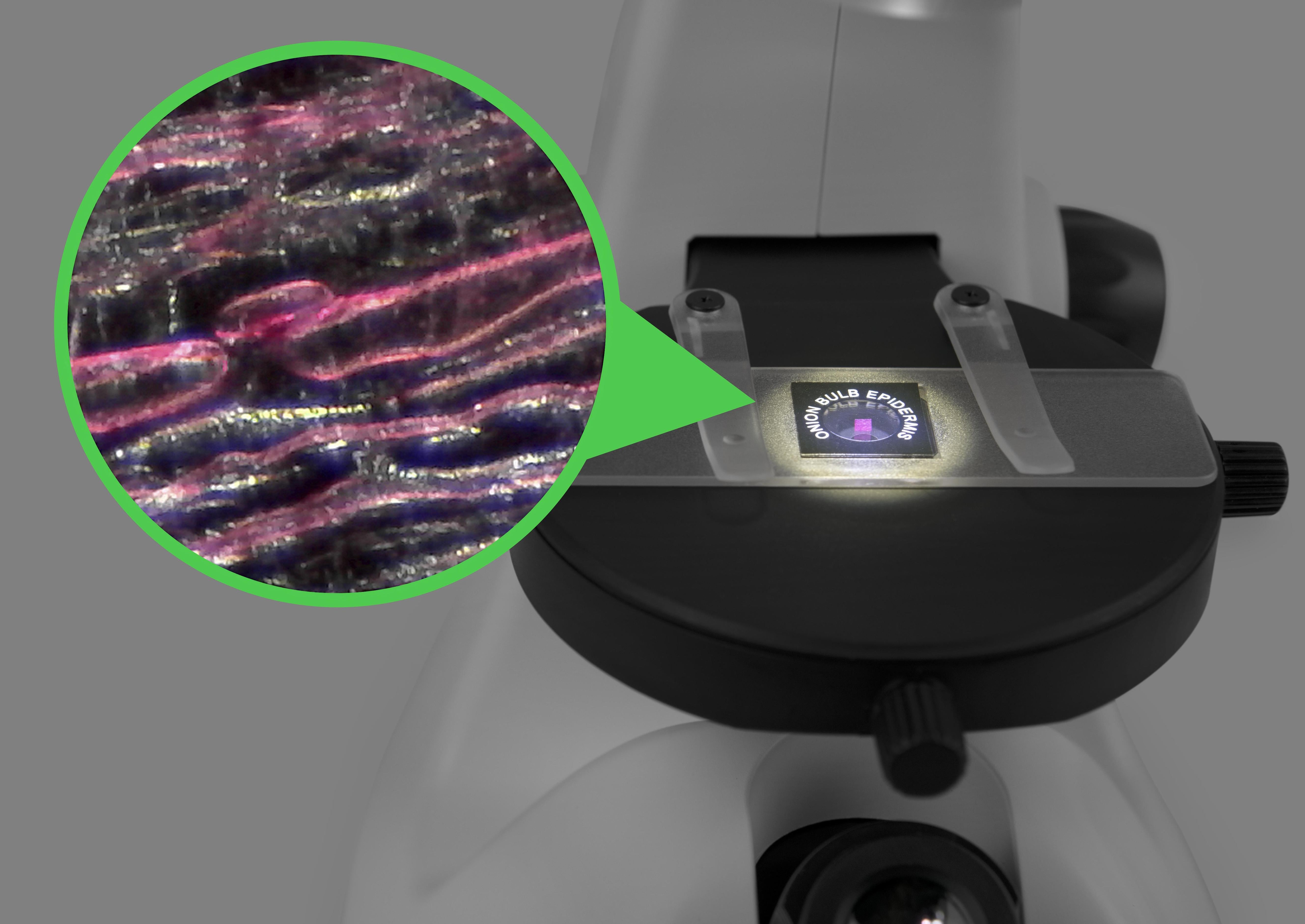 Plugable 800x Digital USB Microscope with Inverted & Optical Lens - Perfect for Electronics Repair, Jewelry Inspection, and Science Education
