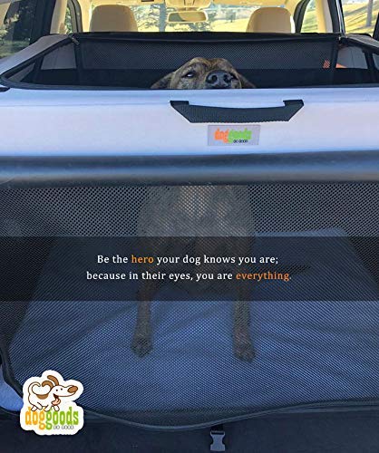 Folding Soft Dog Crate for XL Extra Large Dogs - Indoor & Outdoor Collapsible Kennel for Camping, Car Travel & Road Trips | Portable Pet Crate for Large, Medium & Small Dogs | Perfect for Home, Travel & Outdoor Adventures