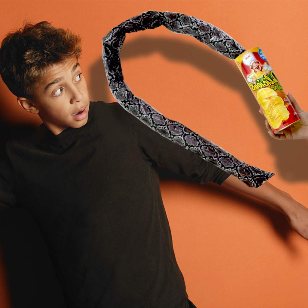 Funny Prank Gifts for Kids - Magic Potato Chip Can Toy with Fake Fries | April Fools Day & Halloween Party Decorations | Great for Pranks, Gag Gifts & Surprise Parties