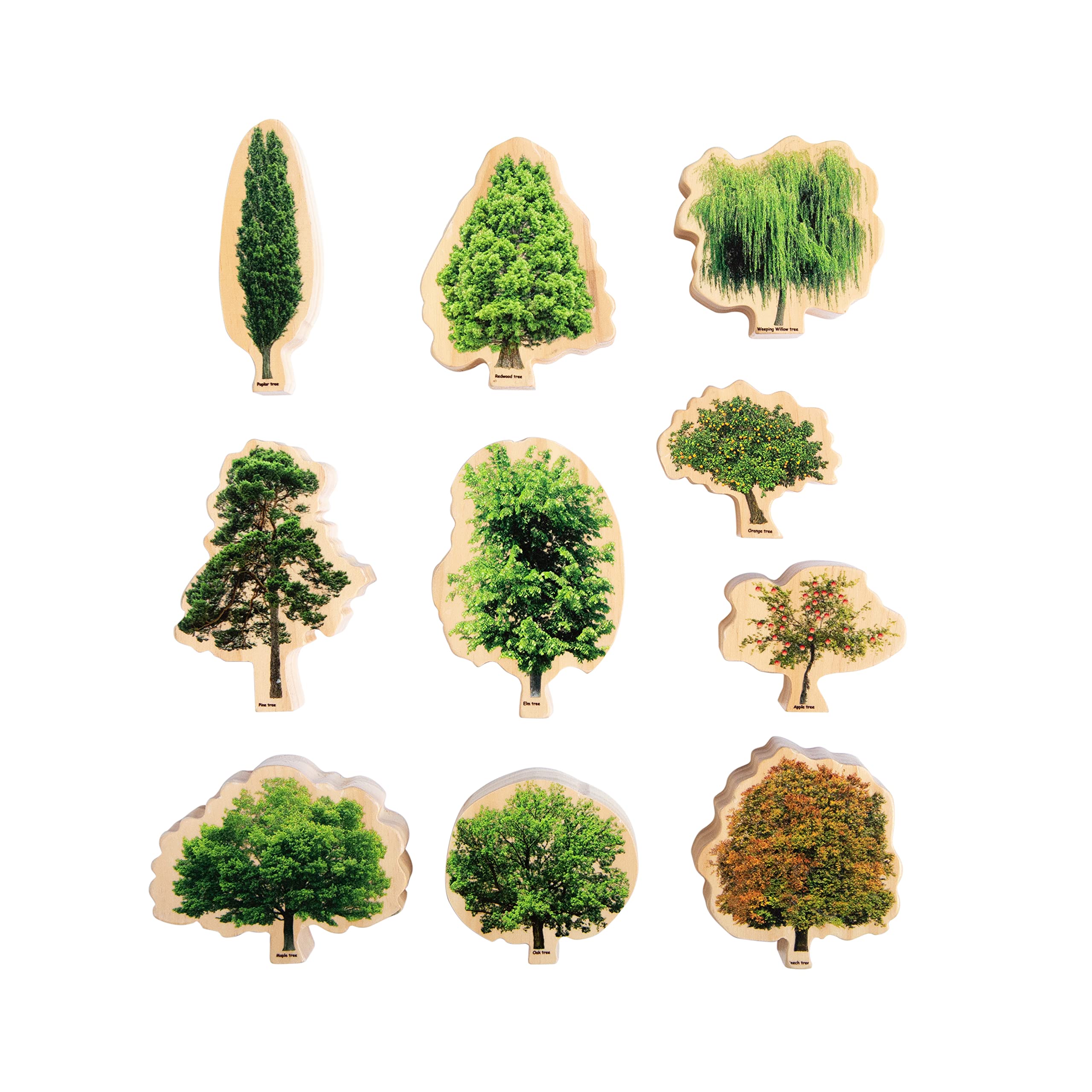 4 Seasons Wooden Tree Decor - Handcrafted Home & Office Decoration for Spring, Summer, Fall, Winter | Perfect for Table Centerpiece, Shelf Display, and Seasonal Gift Giving
