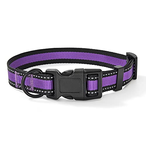 2 Reflective Line-Purple