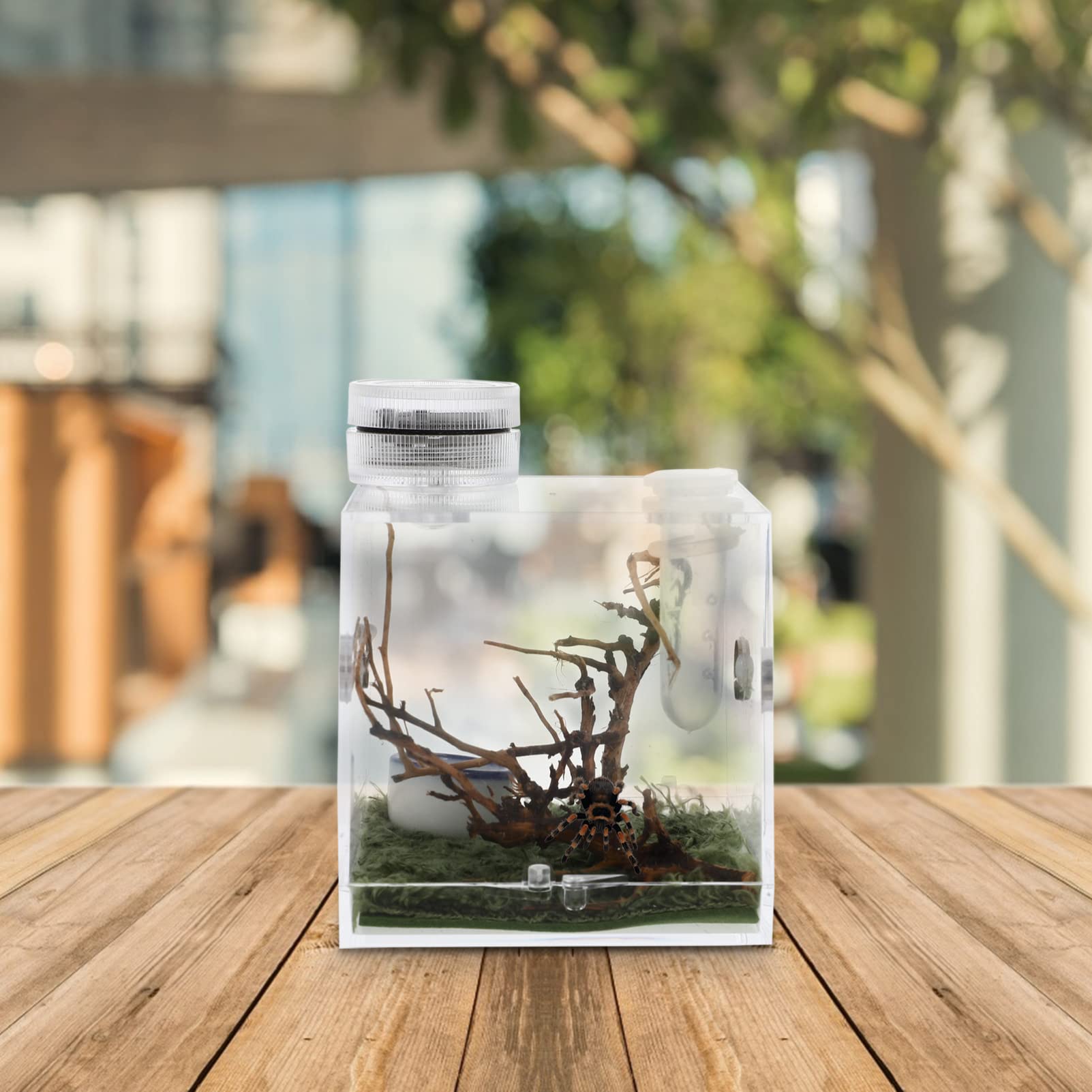 Premium Acrylic Reptile Terrarium with Built-in LED Light - 20 Gallon Transparent Spider Enclosure Habitat for Tarantulas, Lizards & Small Pets - Perfect for Home, Office or Classroom Display