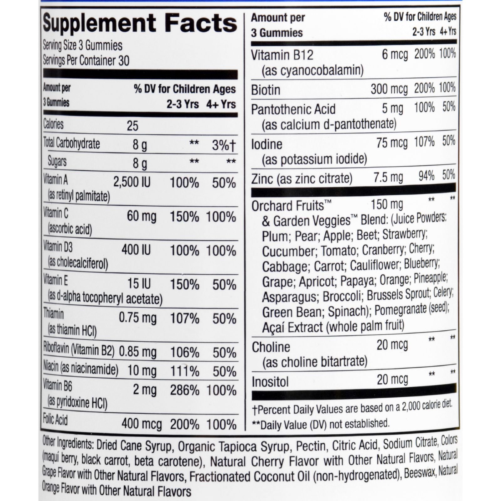 Alive! Kids Multivitamin Gummies - Immune Support & Daily Nutrition for Children - Perfect for School, Travel & Healthy Growth