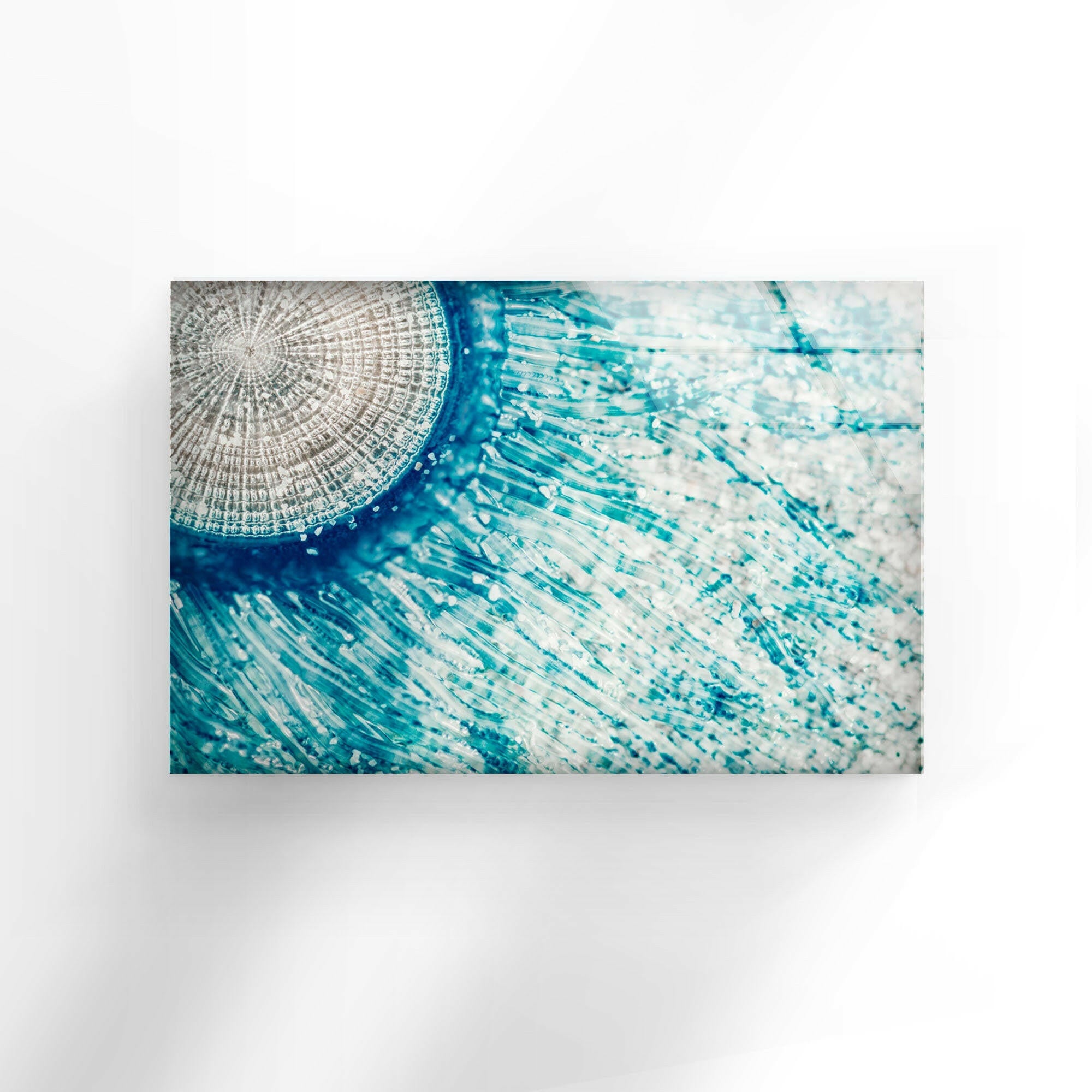 Blue Button Jellyfish Glass Wall Art - Handmade Ocean Themed Decor for Living Room, Bedroom & Office - Perfect Coastal Home Decor Gift