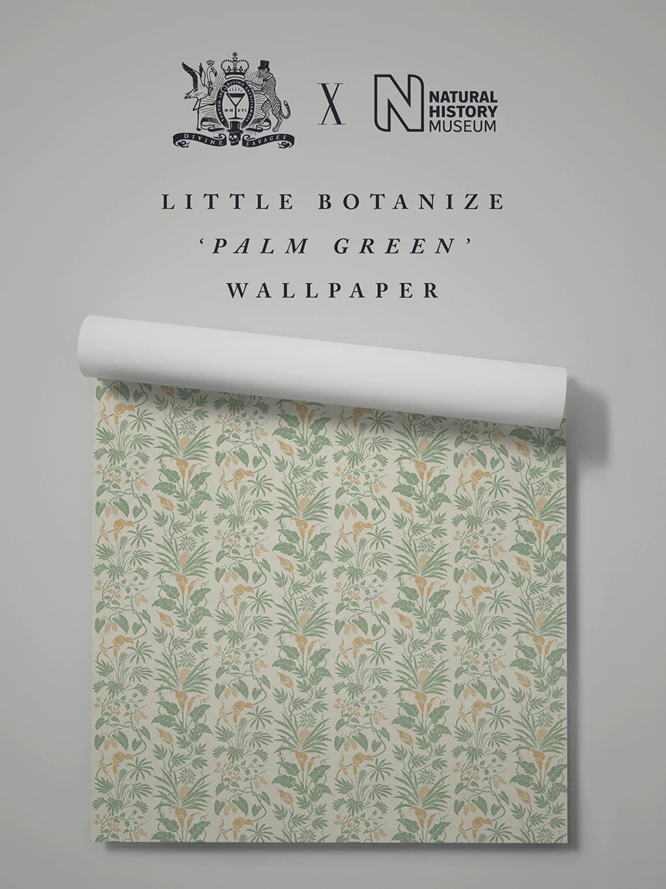 Little Botanize Palm Green
