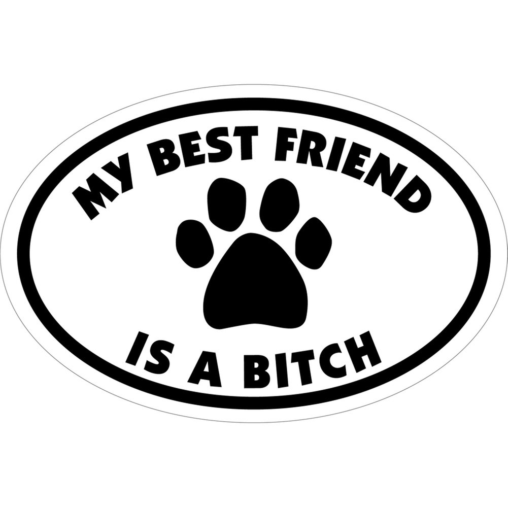 My Best Friend is a Bitch 4x6 Oval Magnet - Perfect for Cars, Fridges, Lockers & Office Decor by Pet Gifts USA