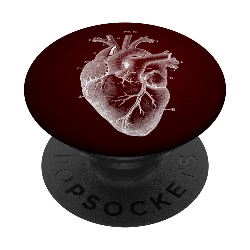 Heart Anatomy PopSockets PopGrip - Swappable Phone & Tablet Grip for Medical Professionals, Doctors, Nurses | Perfect for Cardiology Study, Hospital Work & Medical School