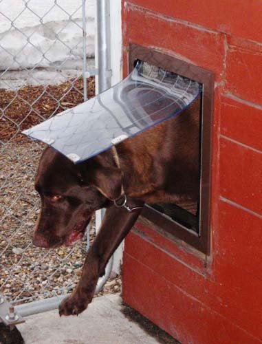 Custom 4-Sided Outdoor Dog Kennel Door - Durable Weatherproof Pet Door for Backyard, Patio & Garage Use