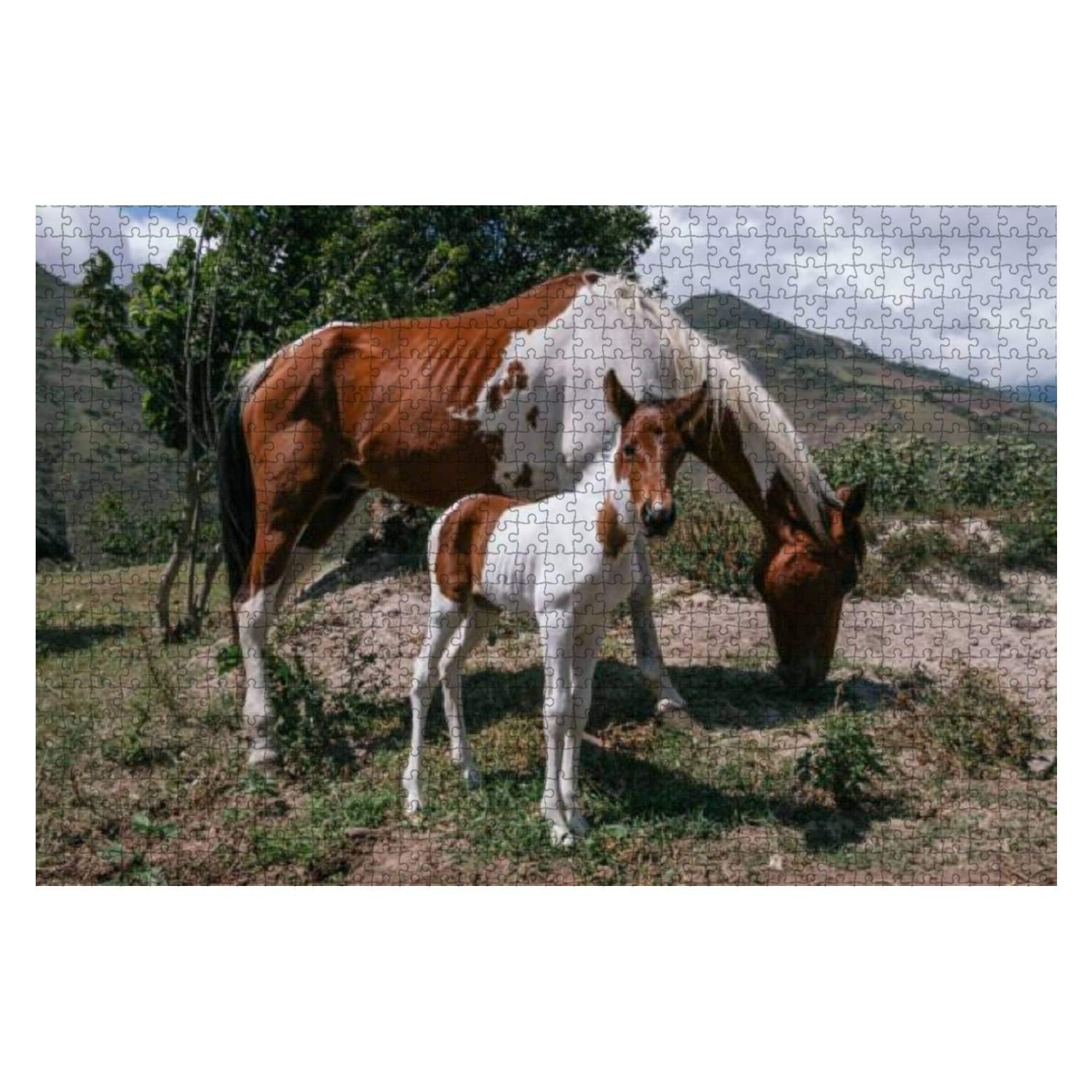 1000 Piece Wooden Jigsaw Puzzle - Mare and Foal Pinto Horses Mother and Son - Educational Puzzle for Kids & Adults - Stress Relief Game - Perfect for Family Game Night, Classroom Activities & Relaxation Therapy