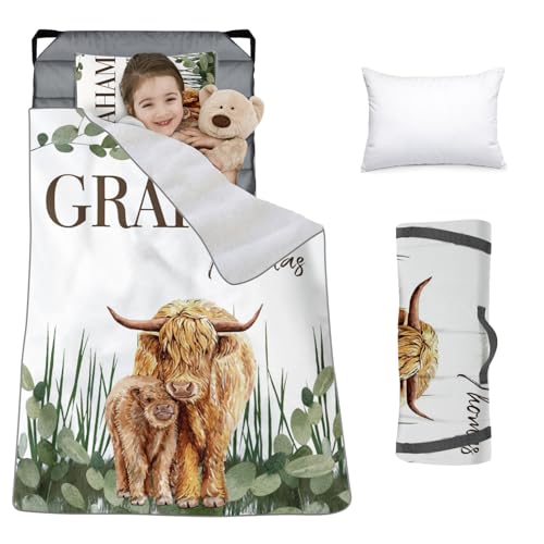 Color16-Highland Cow