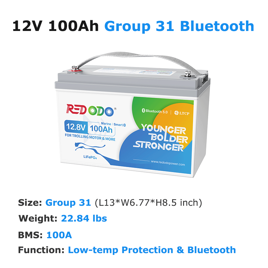 Redodo 12V 100Ah LiFePO4 Deep Cycle Battery - Solar Power, RV, Marine & Off-Grid Energy Storage Solution | Perfect for Camping, Boating & Emergency Backup Power
