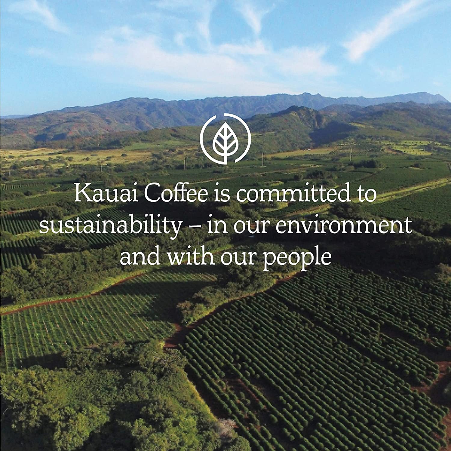 Kauai Coffee Garden Isle Medium Roast - 100 Single Serve Coffee Pods for Keurig | Perfect for Home, Office & Travel Use