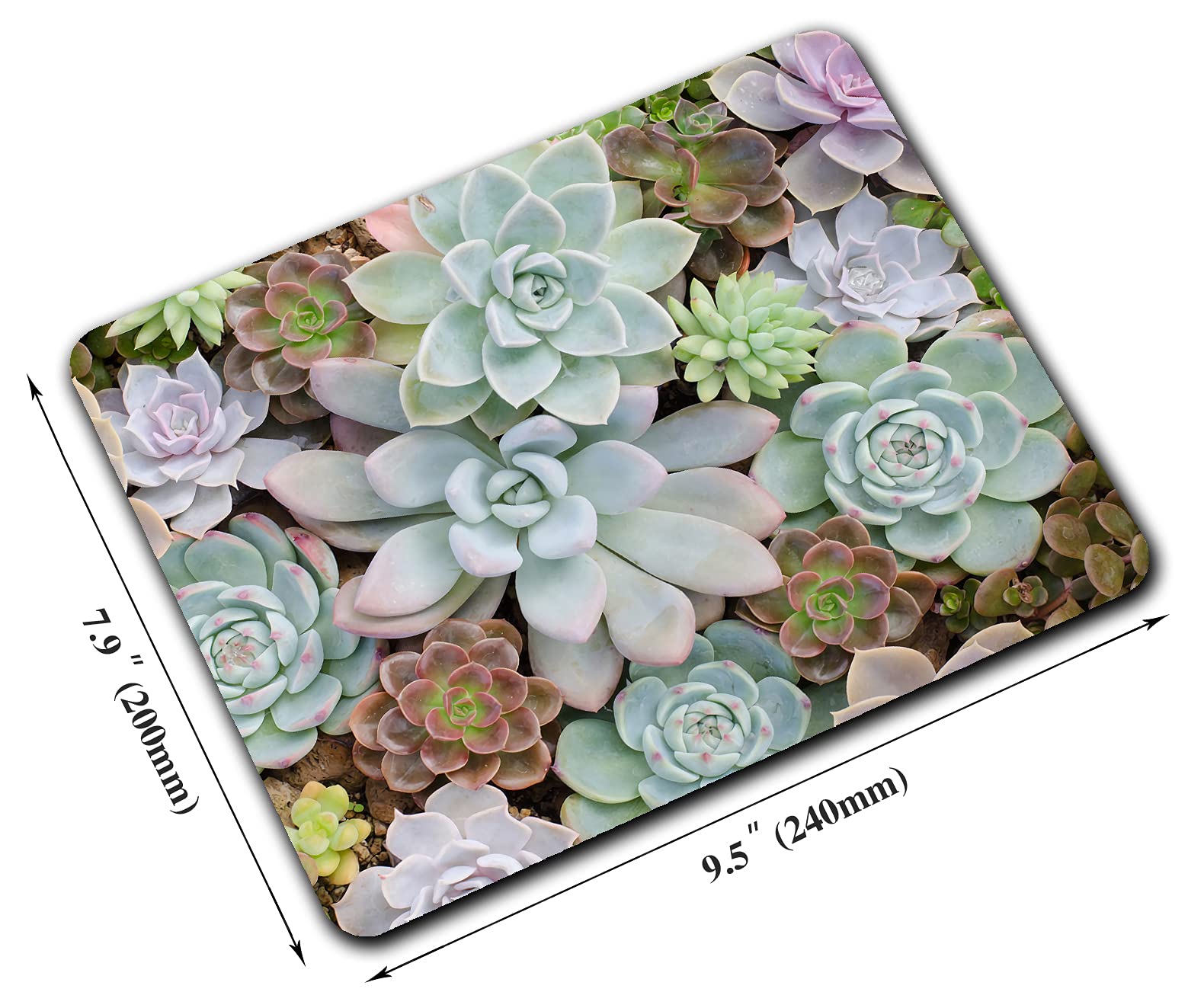 Stylish Succulent Mouse Pad with Anti-Slip Rubber Base - Natural Plant Design Wireless Mouse Pad for Laptop & PC - Perfect for Office, Gaming & Home Workspace