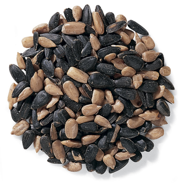 Duncraft Premium Wild Bird Seed Blend - 5 lb Bag for Attracting Cardinals, Finches & Songbirds - Perfect for Backyard Feeders & Bird Watching Enthusiasts