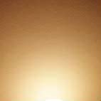 Warm Light Color