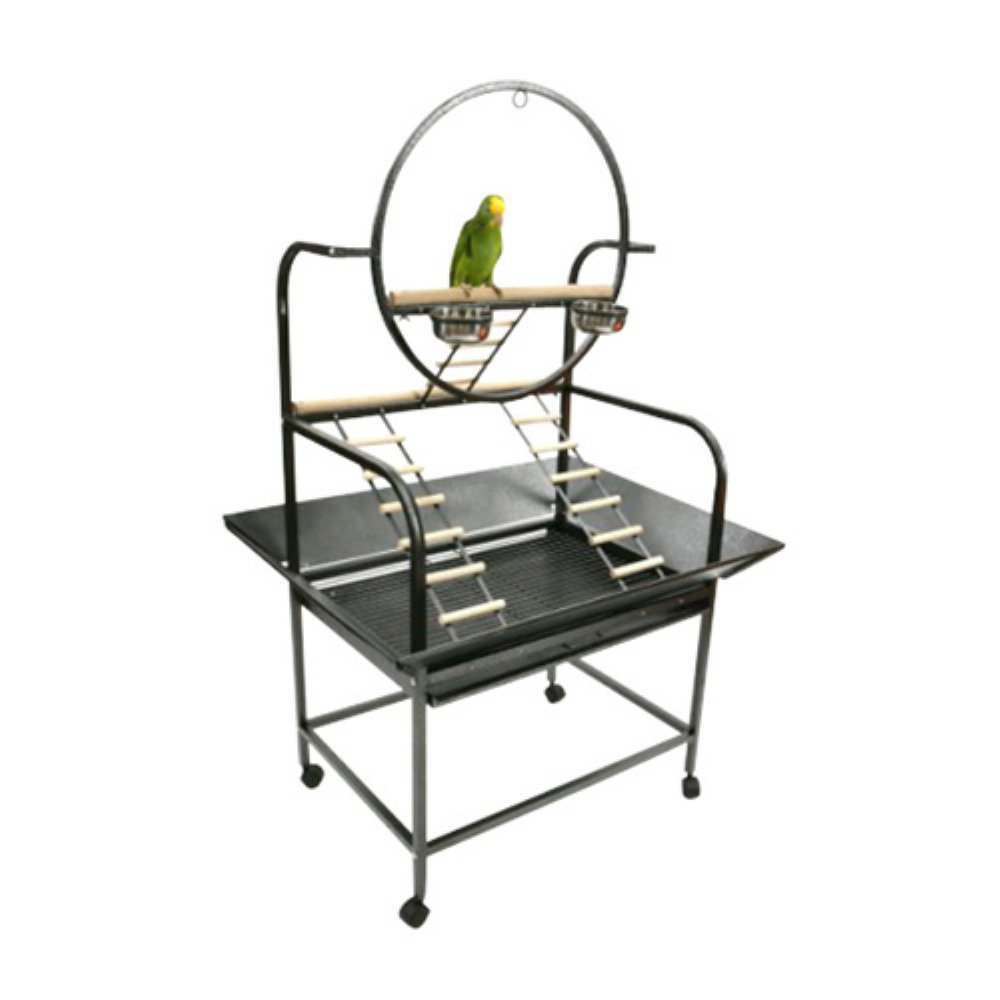 A&E Cage The O Parrot Play Stand - Durable Metal Bird Perch for Small & Medium Birds - Perfect for Playtime, Training & Cage-Free Exercise