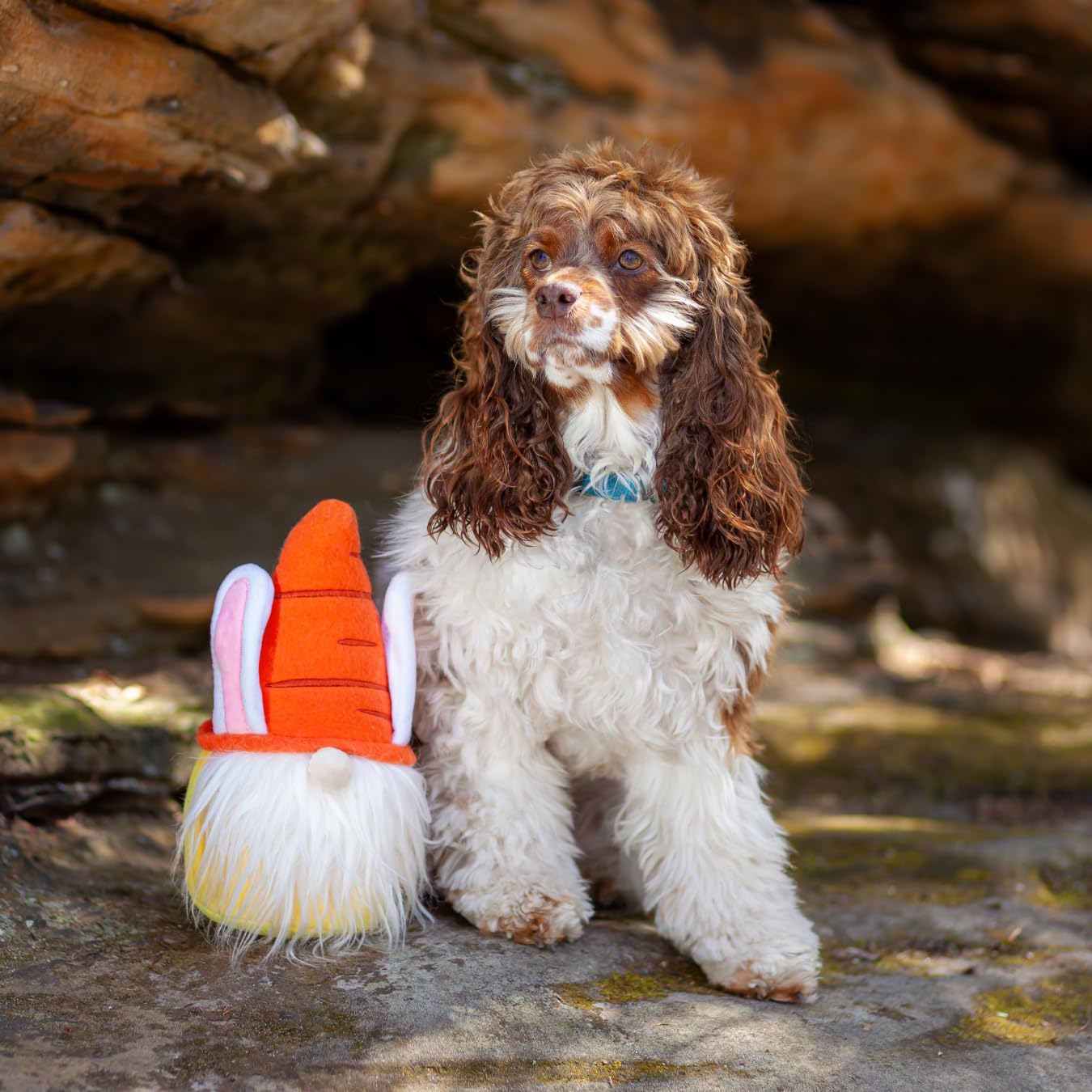 Midlee Easter Bunny Gnome Dog Toy - Cute Holiday Chew Toy for Small & Medium Dogs - Perfect for Easter Playtime & Gifting