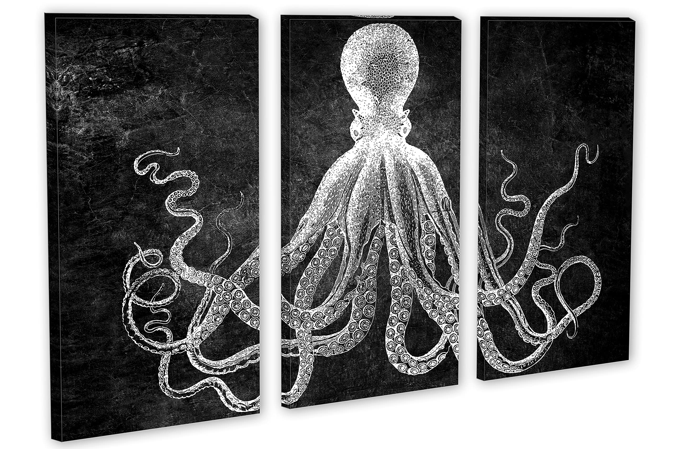 48x32 Inch Lord Bodner Octopus Triptych Canvas Print - 3 Panel Black & White Kraken Wall Art for Living Room, Bedroom, or Office Decor | Stunning Split Design Modern Home Wall Decor