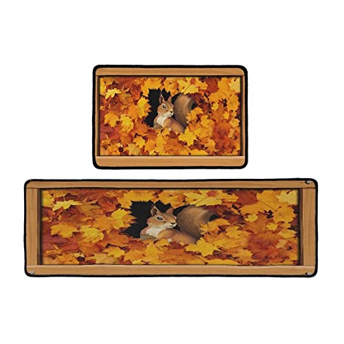 Squirrel Autumn Leaves
