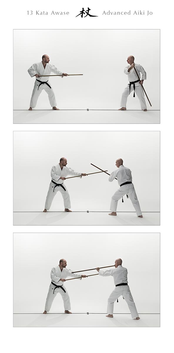 Ethan Weisgard's Aikido Book: Bukiwaza Basic & Advanced Aiki Ken & Aiki Jo Special Edition - Hardcover | Martial Arts Training Guide for Self-Defense & Spiritual Growth