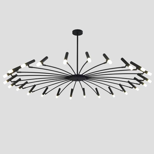 Black 24-Light