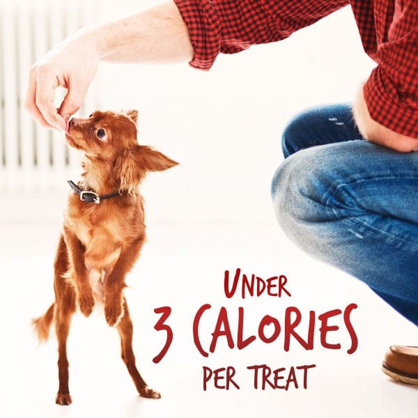 Fruitables Skinny Minis Apple Bacon Flavor Dog Treats - Low Calorie Natural Dog Snacks for Small & Medium Breeds - Perfect for Training Rewards & On-the-Go Treats