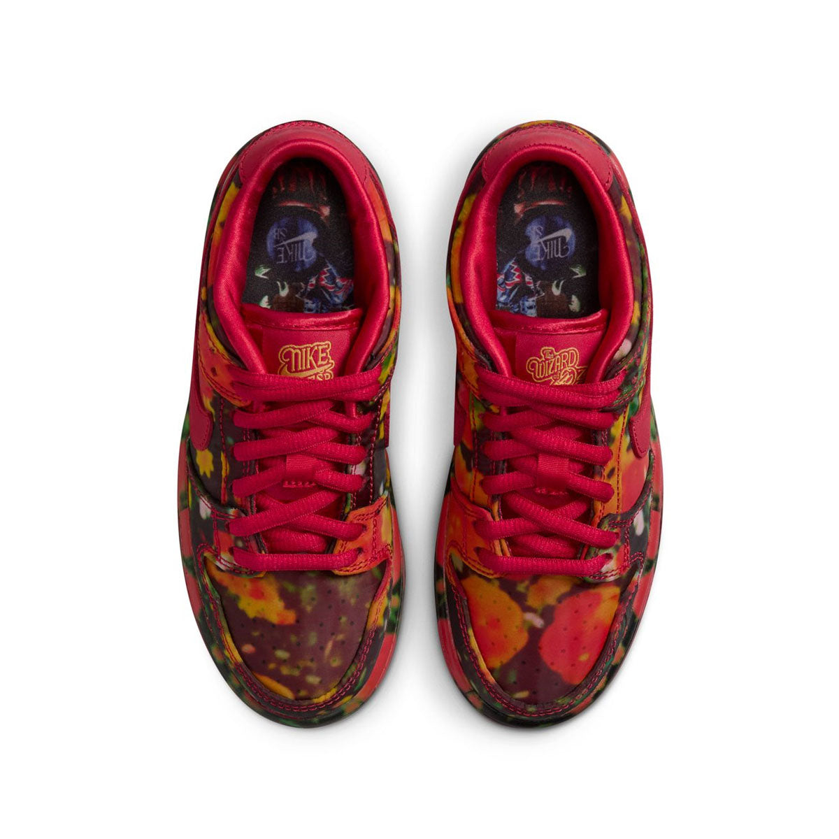 Wizard of Oz Kids SB Dunk Low Pro 'Poppy Fields' Sneakers - Dorothy Inspired Basketball Shoes for Boys & Girls - Perfect for Cosplay, Halloween Costumes, and School Fashion