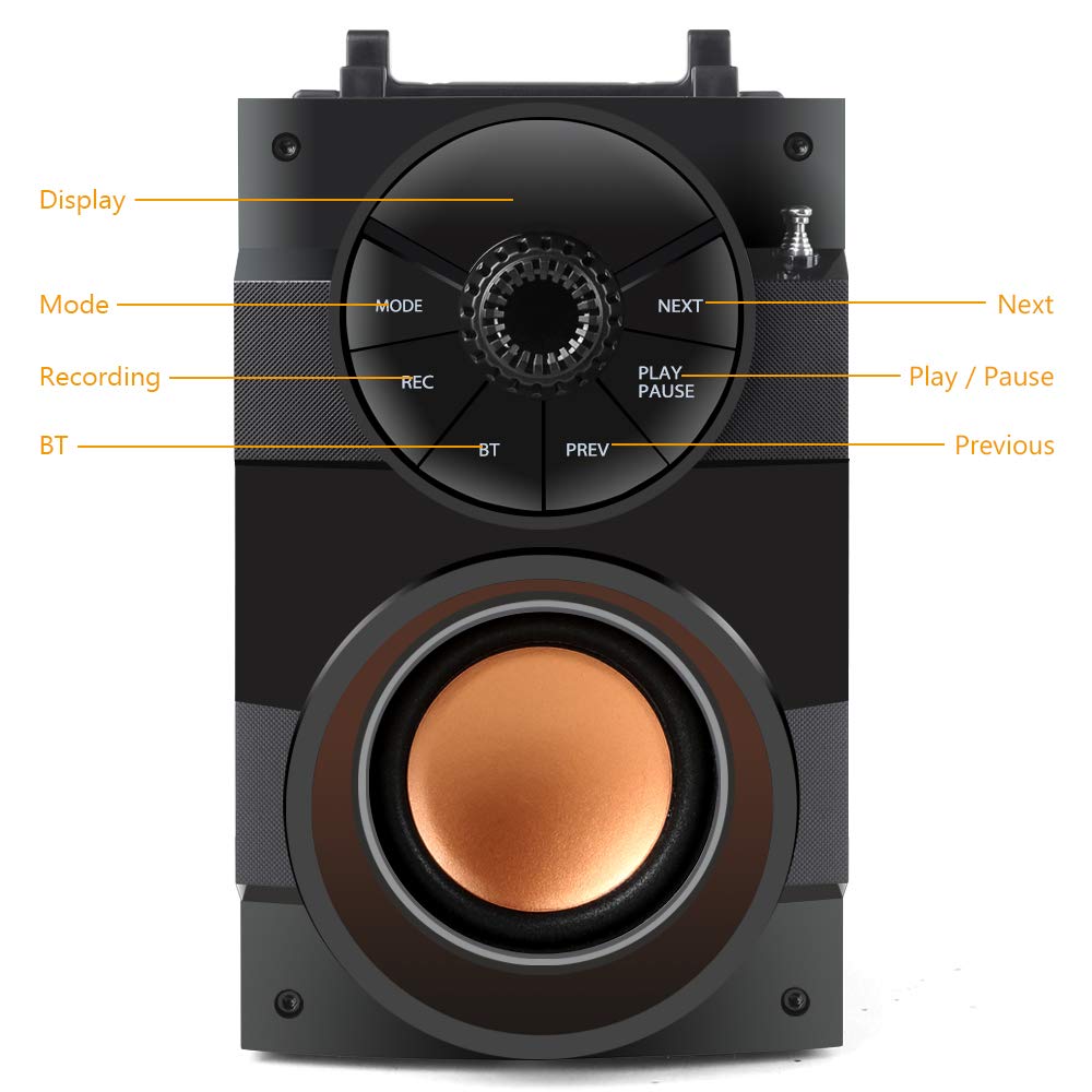 TAMPROAD Portable Bluetooth Speaker with Subwoofer - Wireless Speaker with Rich Bass, FM Radio & Remote Control for iPhone, Android, PC, TV - Perfect for Outdoor, Indoor, Party & Home Entertainment