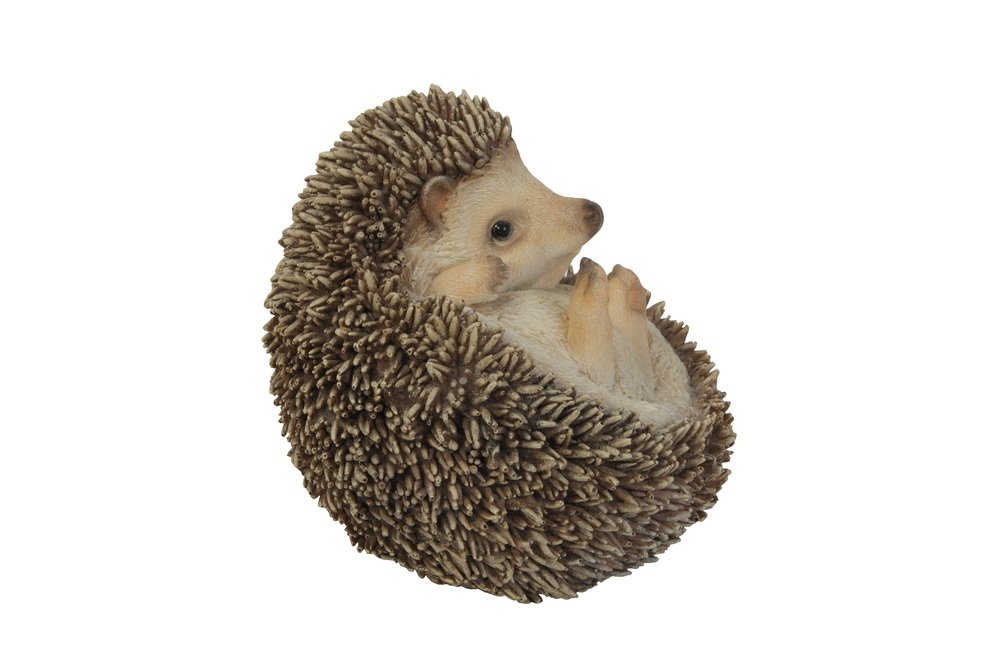 Hi-Line Gift Ltd Hedgehog on Back Statue - Cute Garden Decor, Unique Home & Office Decoration, Perfect Gift for Animal Lovers